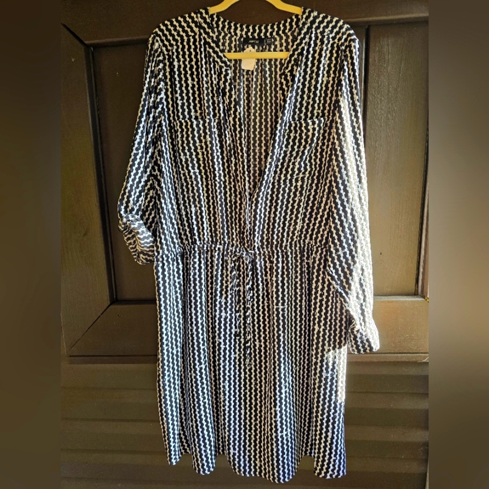 Plus size cinch waist dress